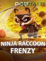 Ninja Raccoon Frenzy game cover
