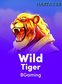 Wild Tiger game cover